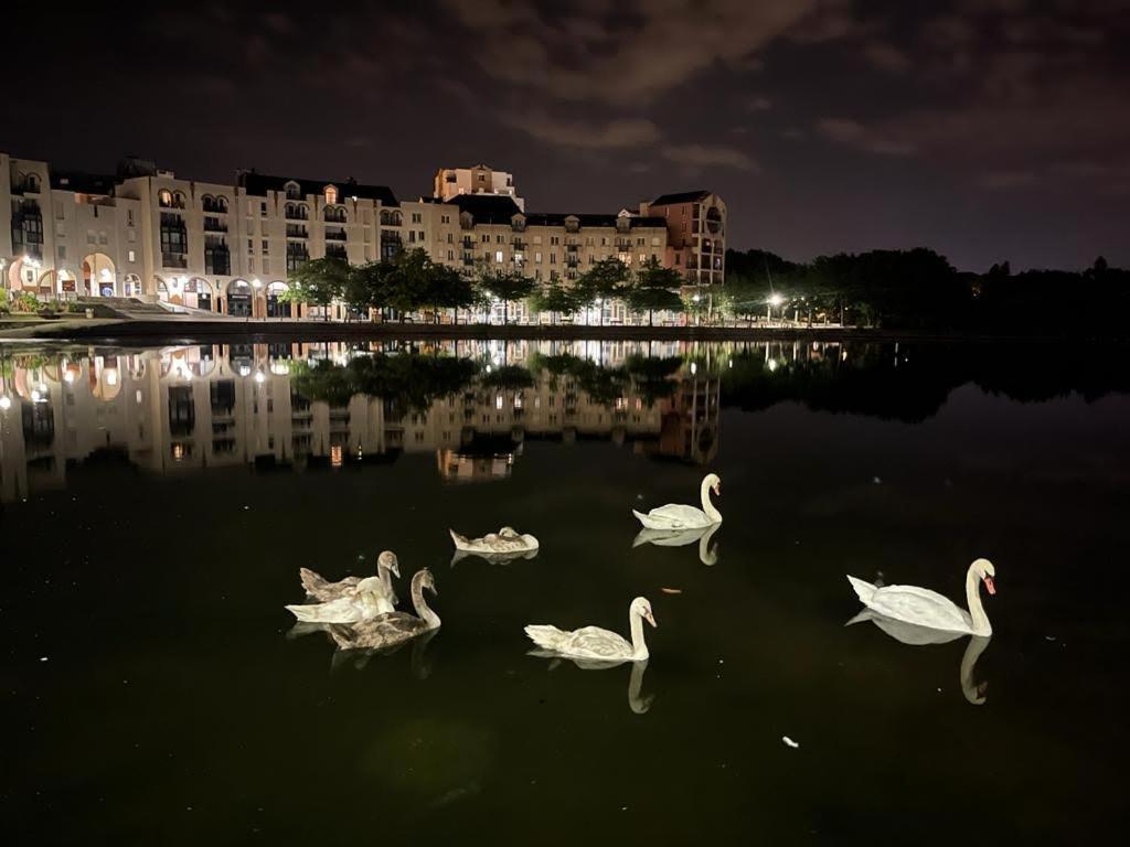 Vue Exceptionnelle Sur Le Lac Creteil Bagian luar foto